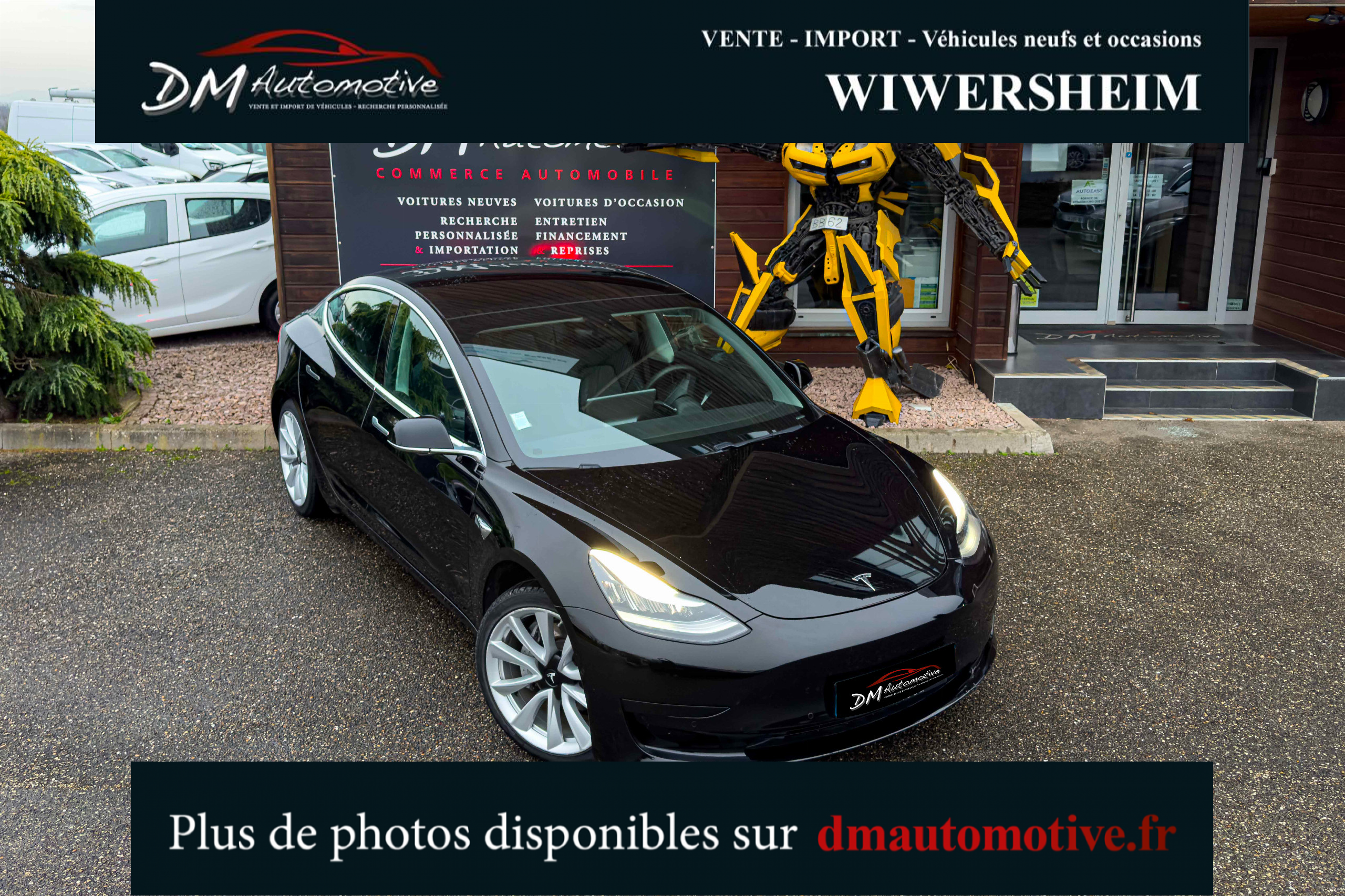 2020 Model 3 Standard RWD Plus Noir