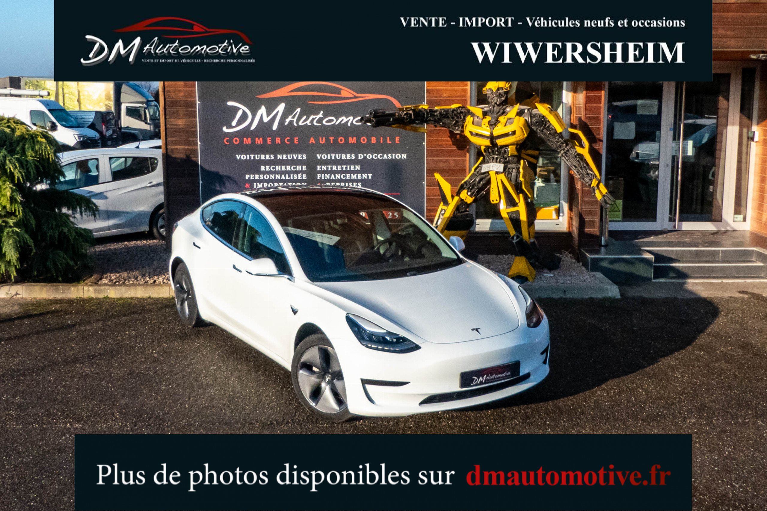 2020 Model 3 Standard RWD Plus Blanc