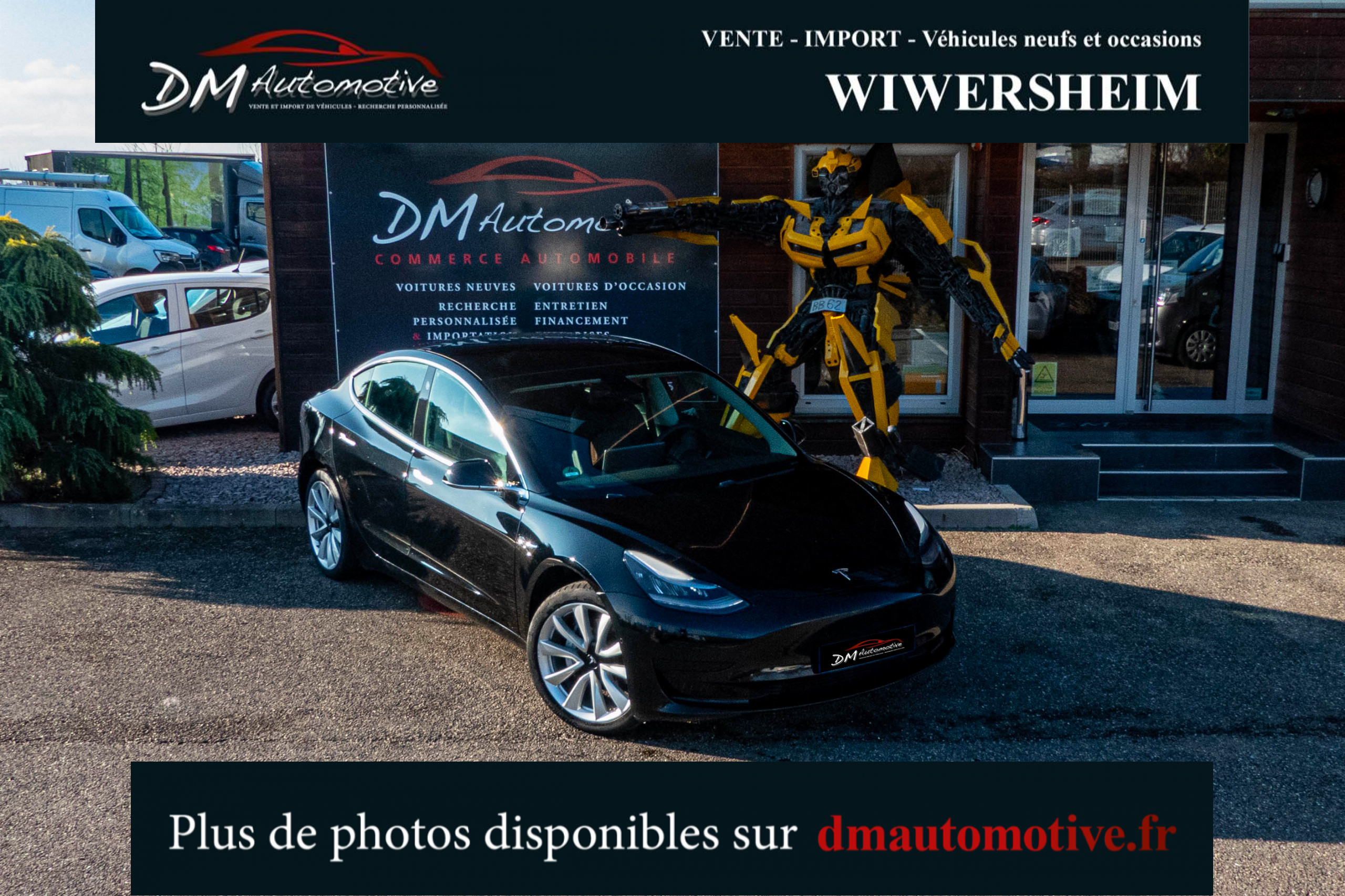 2019 Model 3 Standard RWD Plus Noir