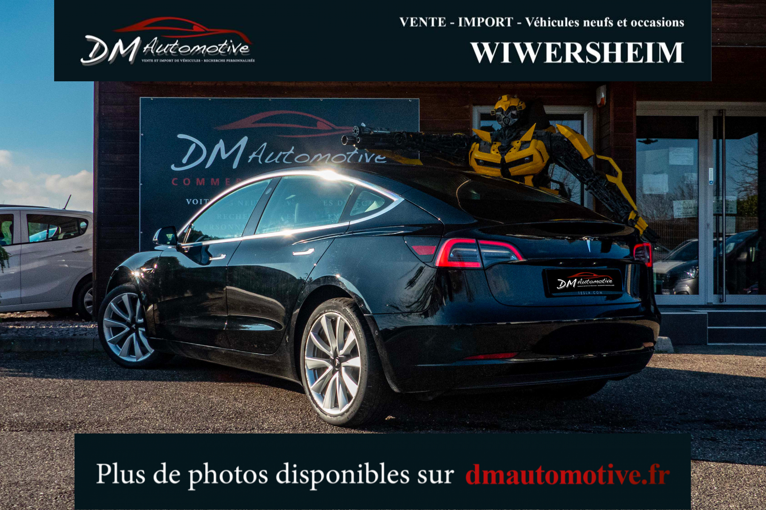 2019 Model 3 Standard RWD Plus Noir