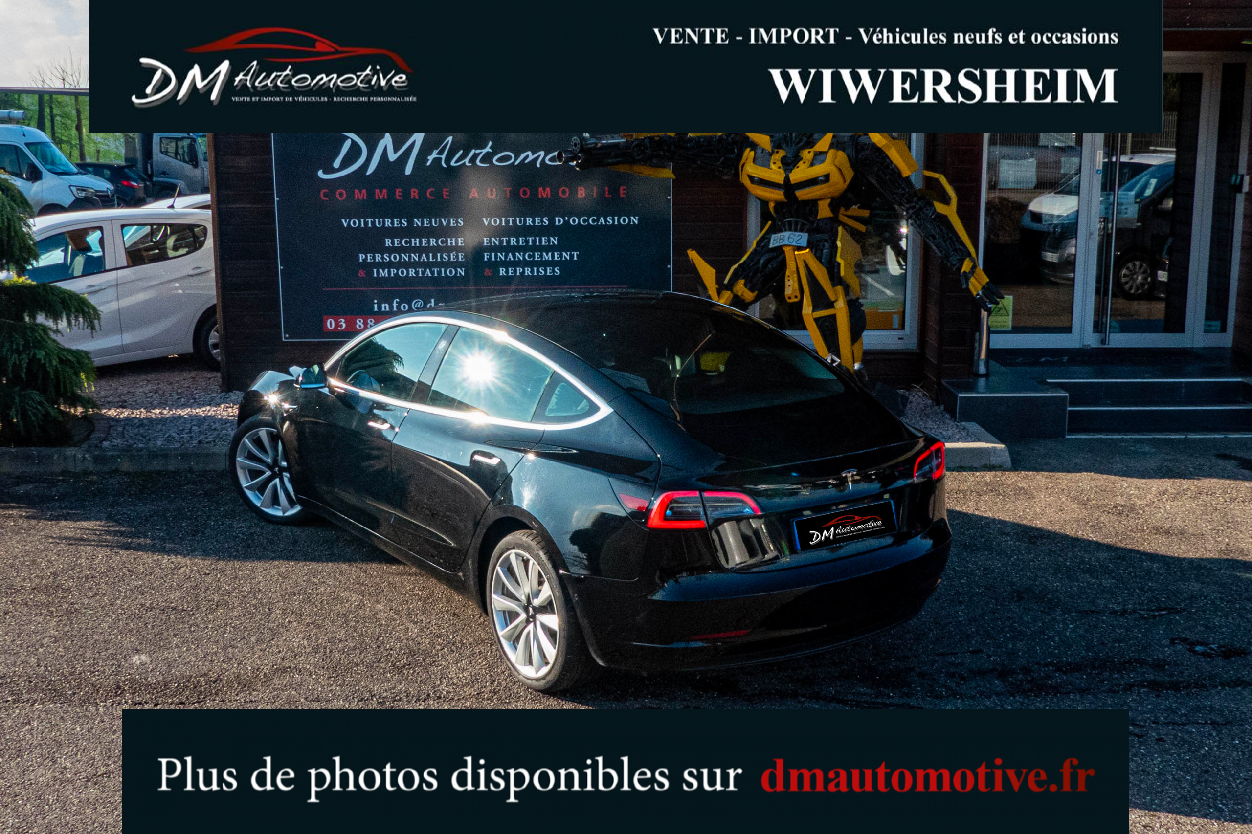 2019 Model 3 Standard RWD Plus Noir