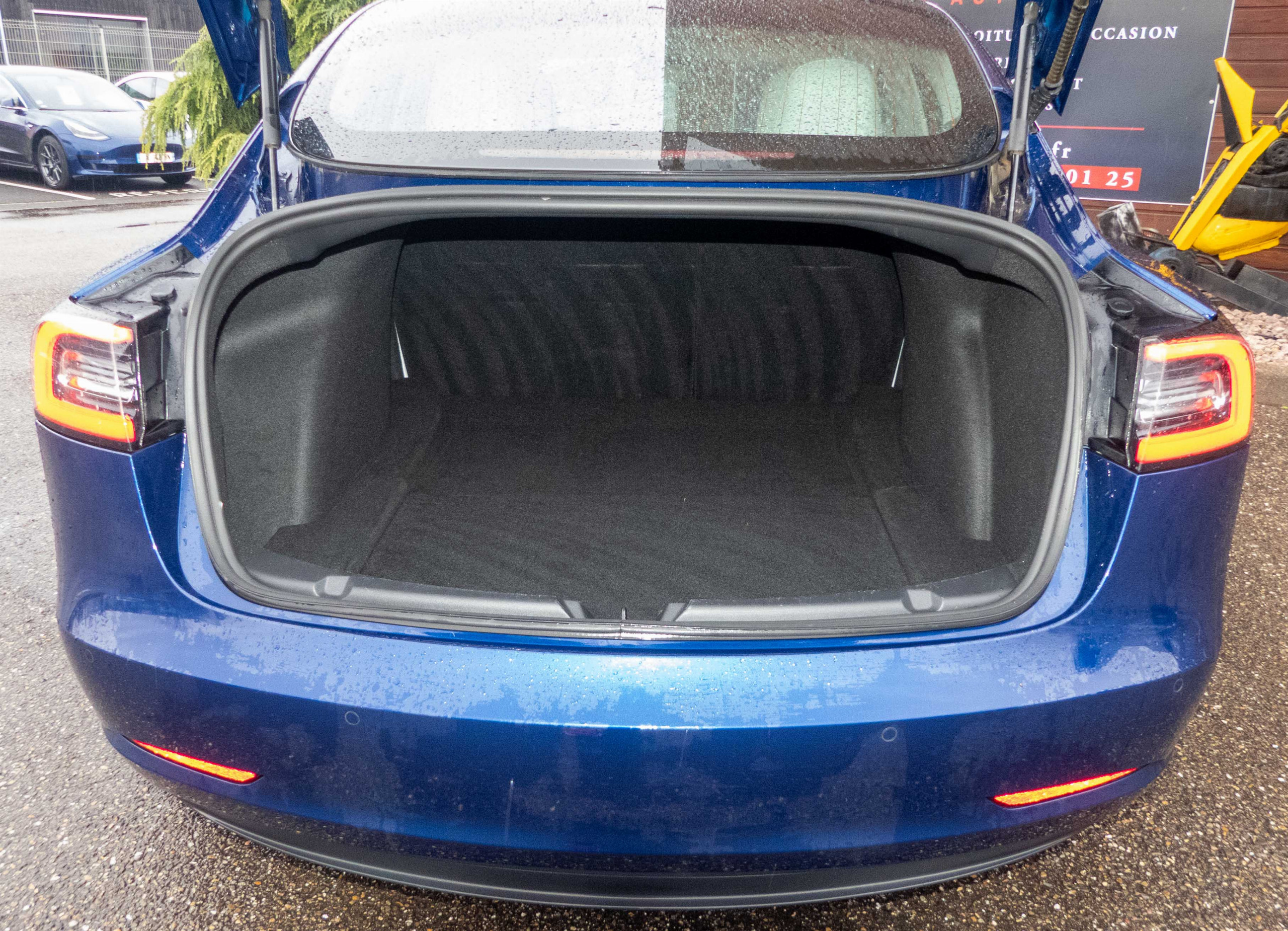 2020 Model 3 Standard RWD Plus Bleu