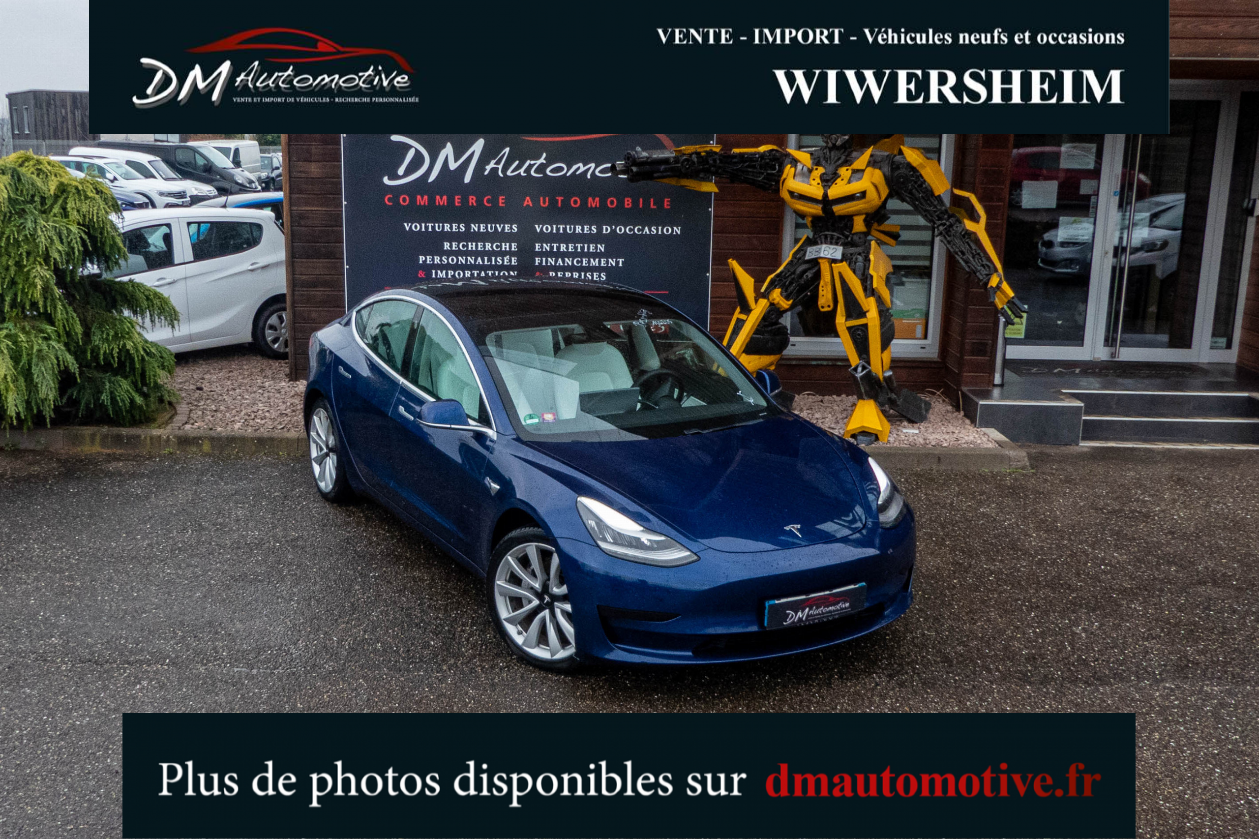 2020 Model 3 Standard RWD Plus Bleu