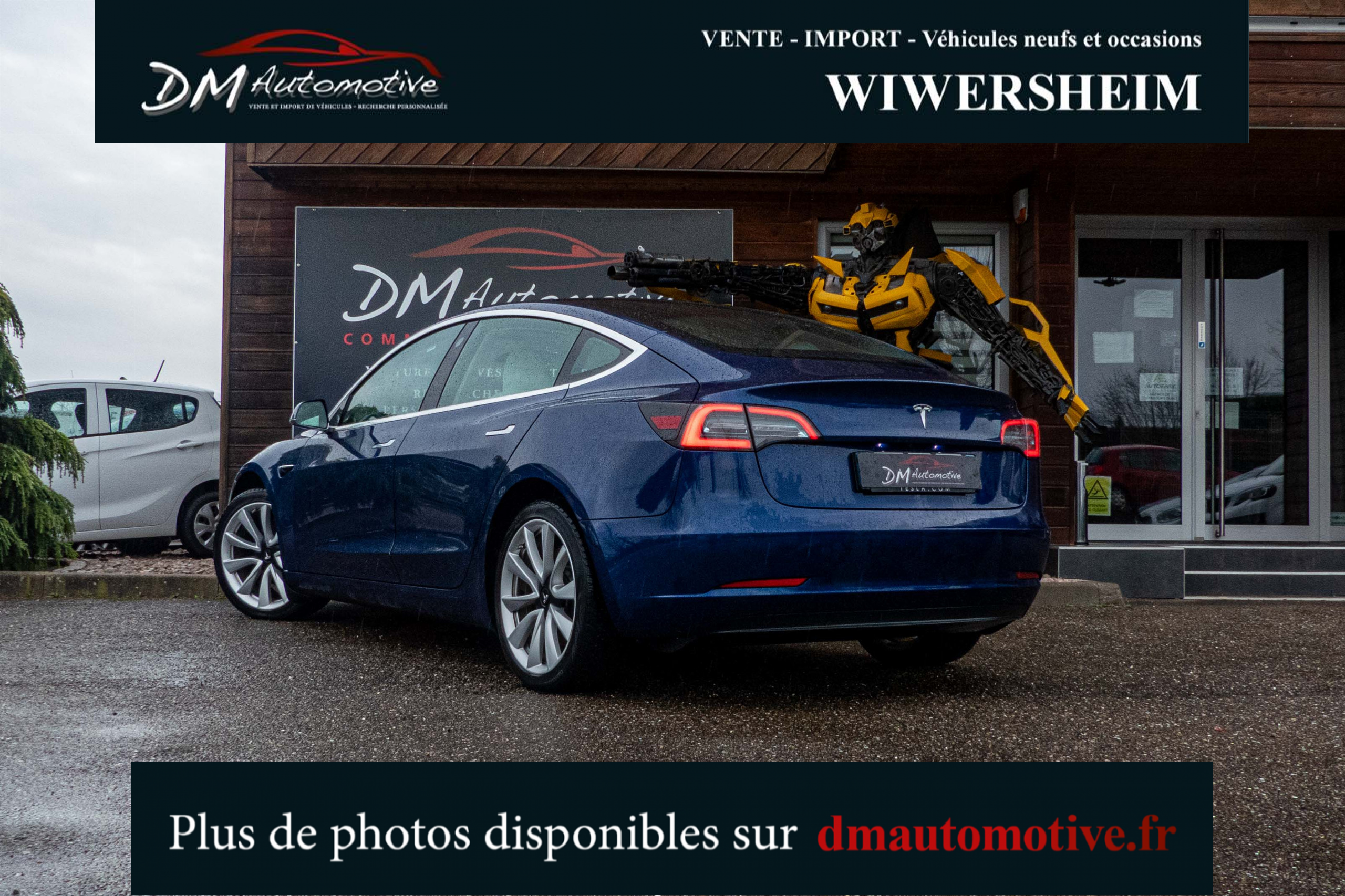 2020 Model 3 Standard RWD Plus Bleu