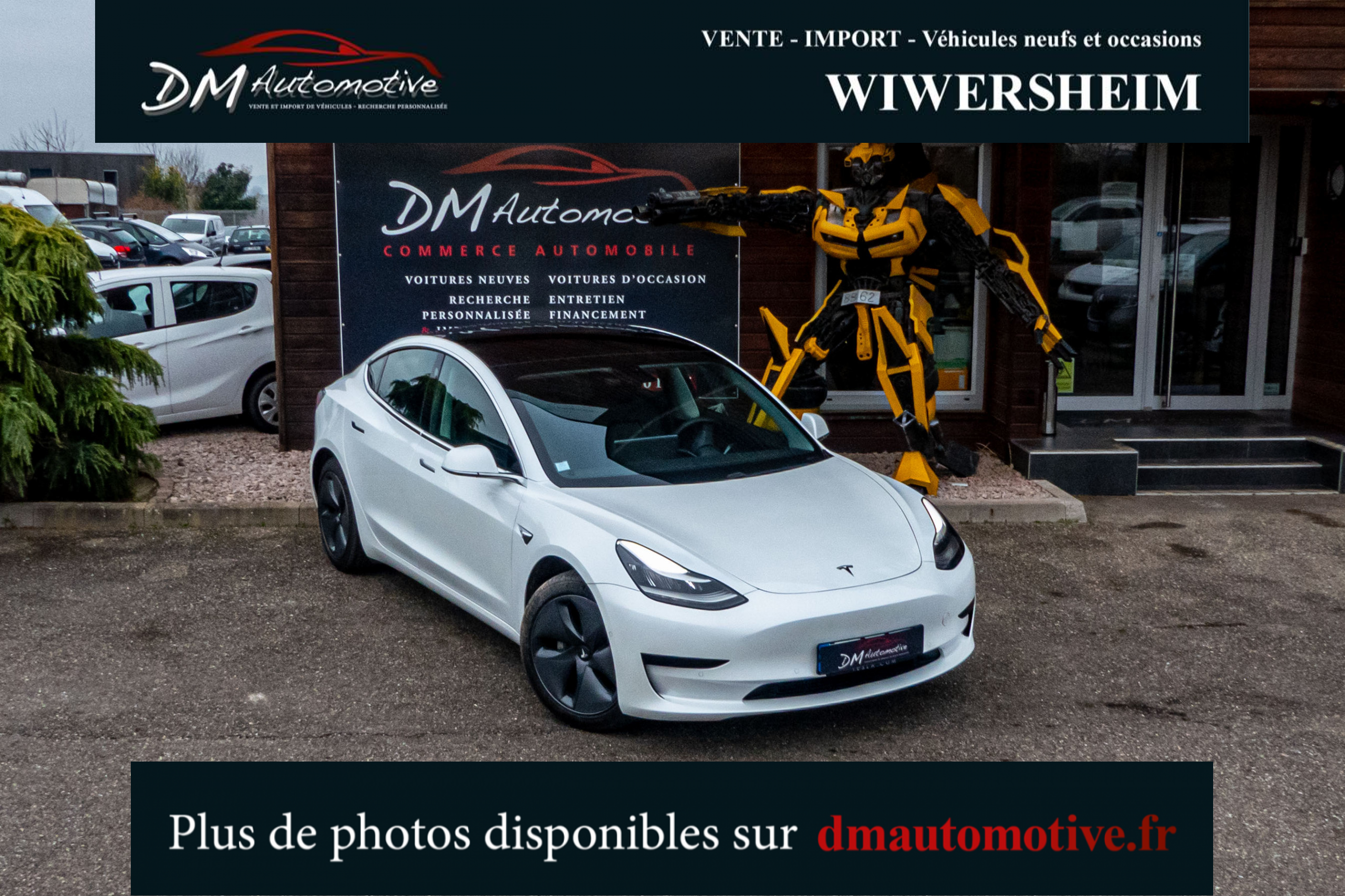 2020 Model 3 Standard RWD Plus Blanc