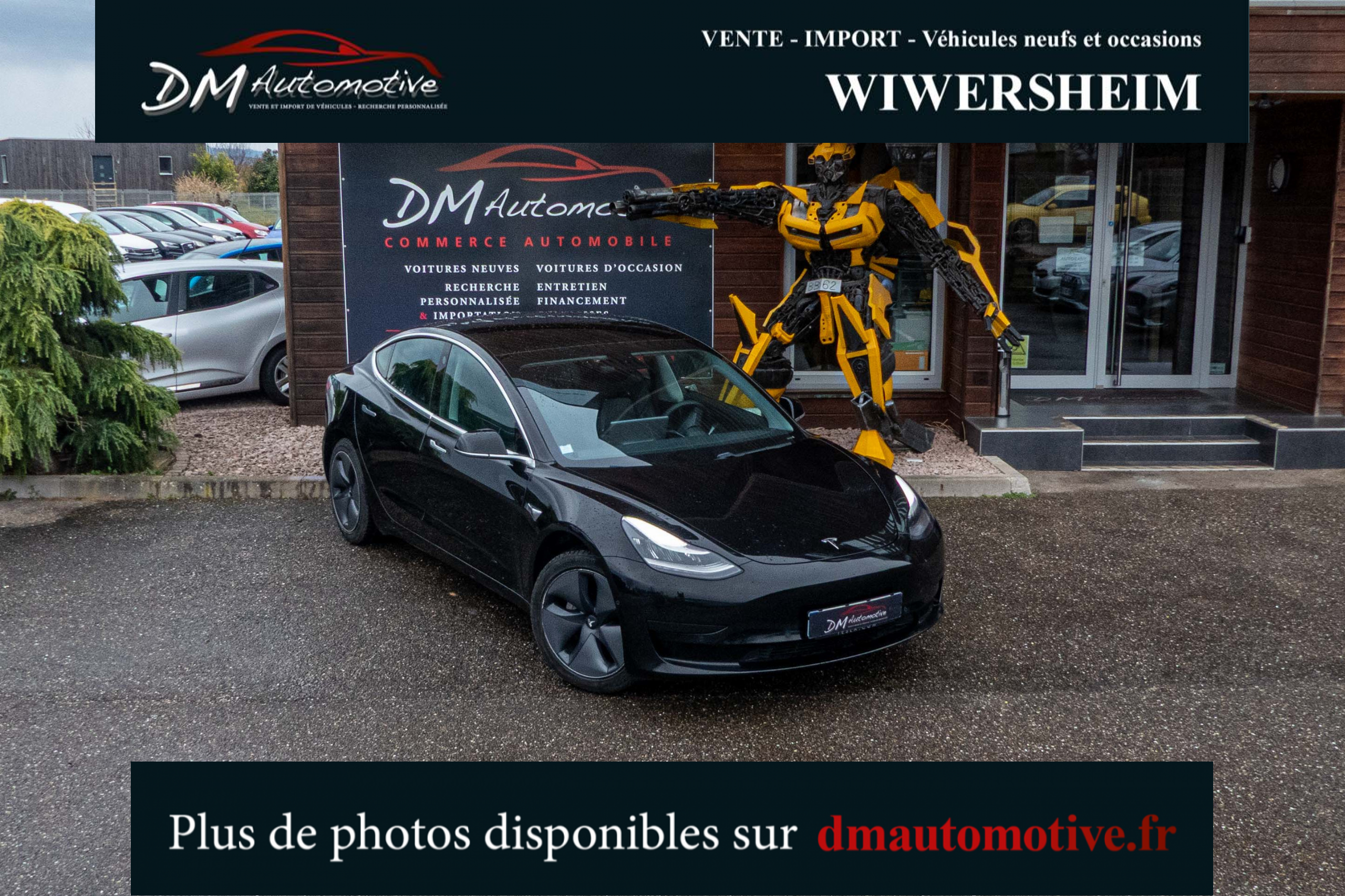 2020 Model 3 Standard RWD Plus Noir
