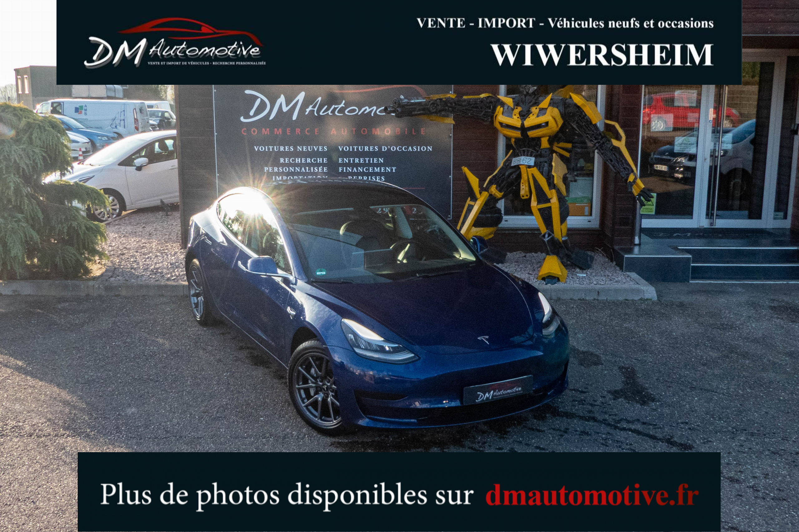 2019 Model 3 Standard RWD Plus Bleu