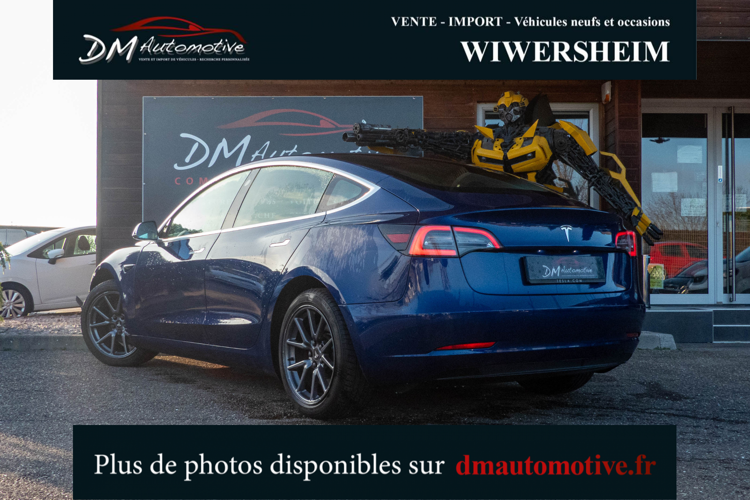 2019 Model 3 Standard RWD Plus Bleu