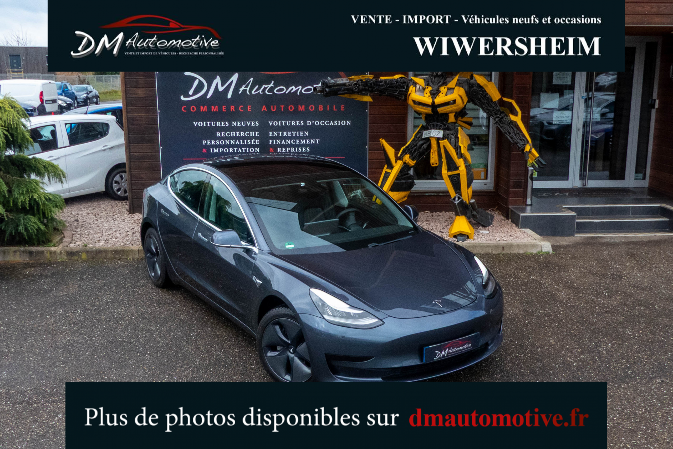 2020 Model 3 Standard RWD Plus Gris foncé