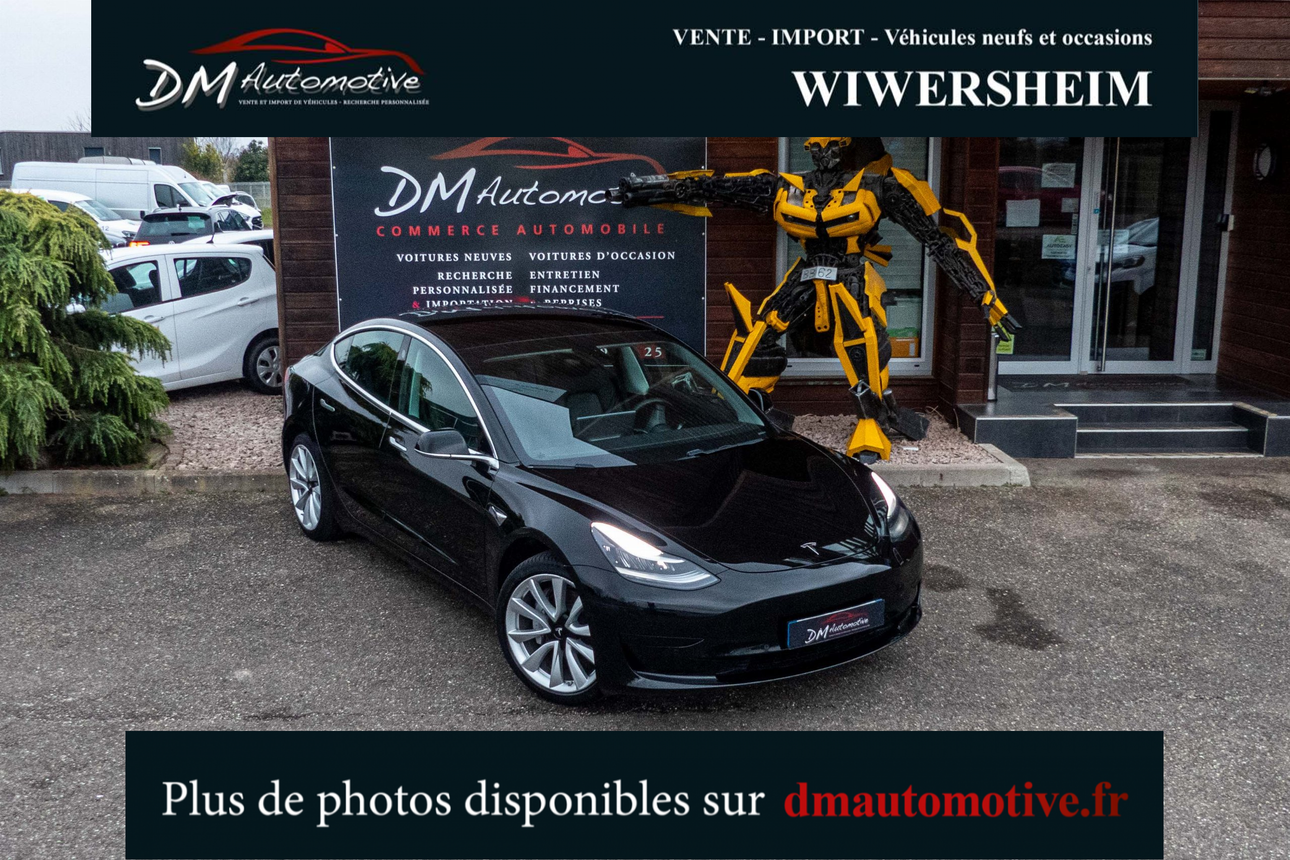 2019 Model 3 Standard RWD Plus Noir